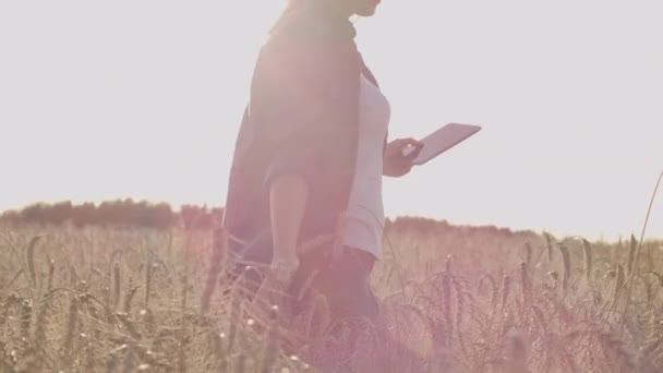 彼女の手にタブレットコンピュータを持つ農家の女の子は、ライ麦の耳を調べ、タブレットコンピュータにデータを入力します. — ストック動画