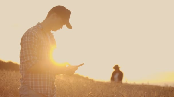 Due contadini, un uomo e una donna, aspettano il tramonto su un campo di grano. Lavoro di squadra nell'agroalimentare . — Video Stock