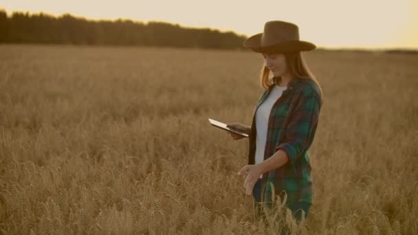 夕日を背景に麦畑で農家の若い女性が。女の子は小麦のスパイクを駆り立てる、タブレットを使っています。農家は収穫する準備をしてください。. — ストック動画