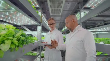 Biyolog laboratuvar analizleri için test tüpüne filiz koyar. İki bilim adamı serada duruyor. Onlar beyaz üniforma, tek kullanımlık eldiven ve göz giymiş.