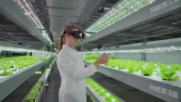과학자들은 하얀 목욕 가운을 입은 여성이 선글라스를 사용하는 것은 관개 제어를 위한 수경 재배가 있는 가상 농장입니다. 유전학자들은 농장에서 자라는 채소의 구성을 분석합니다. — 비디오