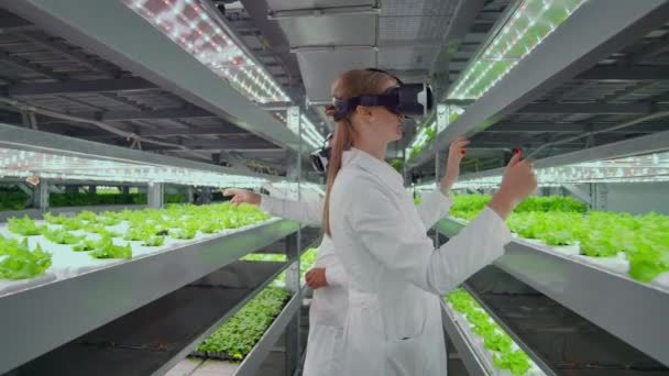 垂直水培种植园男人和女人在白色外套使用虚拟现实技术模拟接口操作 — 图库视频影像