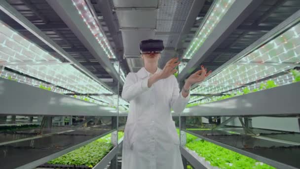 Una mujer en una túnica blanca de pie en el pasillo de la agricultura vertical con hidroponía con gafas virtualnoy realidad alrededor de los escaparates verdes con verduras — Vídeo de stock