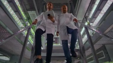 Beyaz laboratuvar önlük erkekler modern bir dikey çiftlik kamera merdivenlerinden tablet bilgisayar arkalarında hareket eder ve beyaz laboratuvar önlük ve gözlük bitki örnekleri tartışırken 2 kadın gösterir.