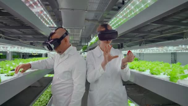 I microbiologi moderni usano occhiali di realtà virtuale per controllare e controllare il clima in una fattoria moderna per coltivare verdure ecologiche. — Video Stock