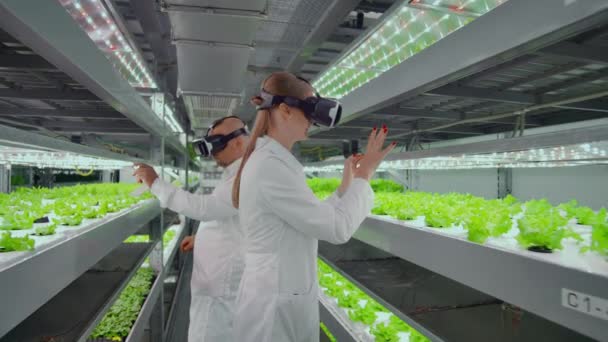 El uso de gafas de realidad virtual en una granja moderna científicos lideran el proceso de modificación genética de las plantas — Vídeos de Stock