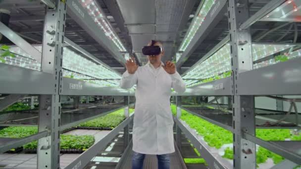 Cientistas de um homem de jaleco branco usam óculos realidade virtual na fazenda com a hidroponia para controle de irrigação. Geneticistas analisam a composição de hortaliças em plantios . — Vídeo de Stock
