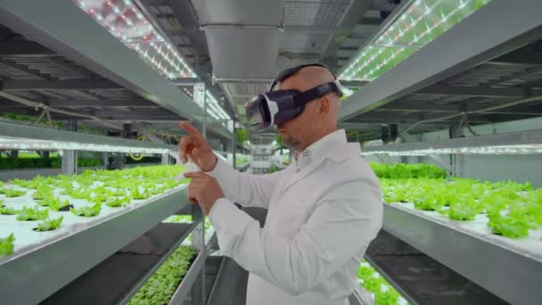 En modern manlig mikrobiolog använder Virtual Reality glasögon för att styra och hantera klimatet på en modern ekologisk grönsaksodling — Stockvideo