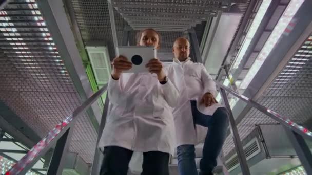 将来の有機製品を栽培するための近代的な農場。2人の男性がタブレットコンピュータを手に垂直農場の階段を下り、2人の女性が製造された製品のサンプルを検査する — ストック動画