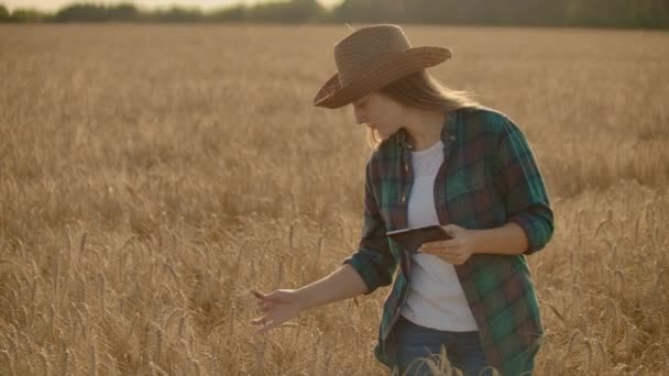 夕暮れ時フィールドにタブレットを使用して農家の若い女性が。スモール ビジネス コンセプトの所有者 — ストック動画