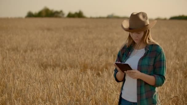 Молодая женщина фермер работает с планшетом в поле на закате. Владелец концепции малого бизнеса — стоковое видео