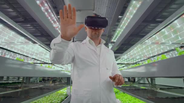 Homme scientifique dans un manteau blanc debout dans le couloir de l'agriculture verticale avec hydroponique avec lunettes réalité virtuelle autour des vitrines vertes avec des légumes — Video