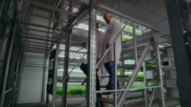 Ellerinde bilgisayar olan beyaz önlüklü modern bilim adamları grubu yeşil bitki örneklerine bakarak tartışır ve konuşur.