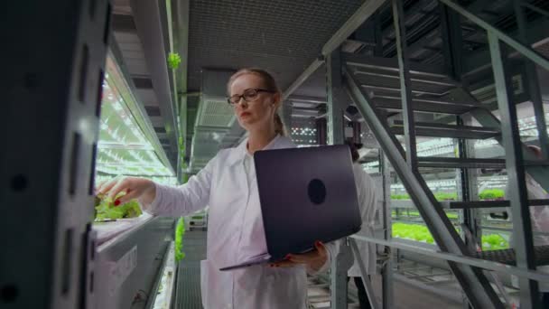 A câmera se move através dos corredores de uma fazenda de metal moderno para o cultivo de vegetais e ervas, uma equipe de cientistas usando computadores e tecnologia moderna controla o crescimento e a saúde da cultura — Vídeo de Stock