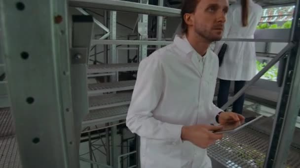 Gli scienziati uomini e donne lavorano spostandosi attraverso i corridoi di una moderna fattoria metallica per coltivare verdure ed erbe esaminando gli scaffali con piante verdi e inserendo dati nel computer. . — Video Stock