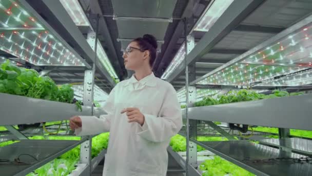 Kameran rör sig genom korridorerna längs hyllorna med grönsaker och örter på en modern gård, ett team av forskare och jordbrukare övervaka arbetet i stationen — Stockvideo