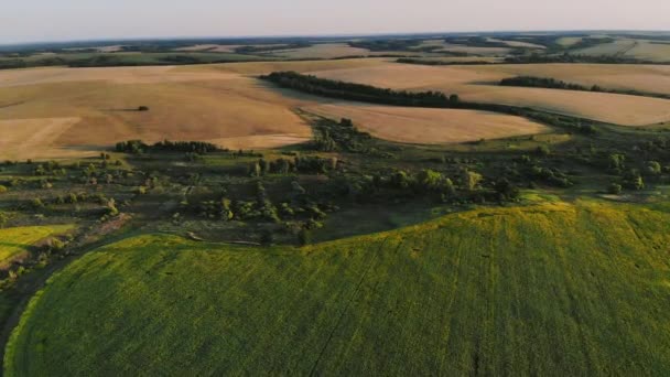 A repülés alatt végtelen Green Field. Légi. — Stock videók