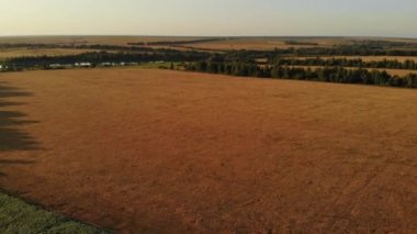 Sonsuz yeşil bir alanın üzerinden bir uçuş. Hava.