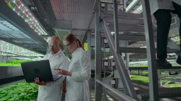 Modernes mikrobiologisches Labor, zwei Wissenschaftler mit Laptop diskutieren Forschungsergebnisse zu gentechnisch veränderten Produkten. — Stockvideo