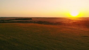 Gün batımında hava fotoğrafçılığı alanı, buğday tarlası, yeşil alanlar, ayçiçeği ve mısır tarlası. Tarım.