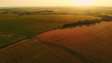 Gün batımında hava fotoğrafçılığı alanı, buğday tarlası, yeşil alanlar, ayçiçeği ve mısır tarlası. Tarım.