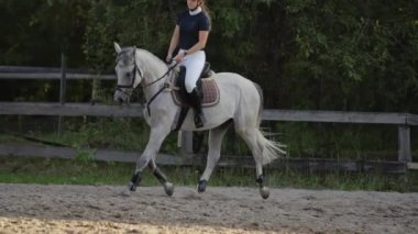 Profesyonel kız binici bir at üzerinde dörtnala. Gün batımında arenada ata binen kız. At toynak çok toz oluşturur. Rekabetçi binici eğitim atlama