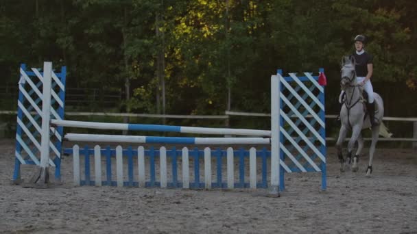 Joven jinete en caballo de bahía saltando por encima del obstáculo en la competición deportiva ecuestre . — Vídeos de Stock