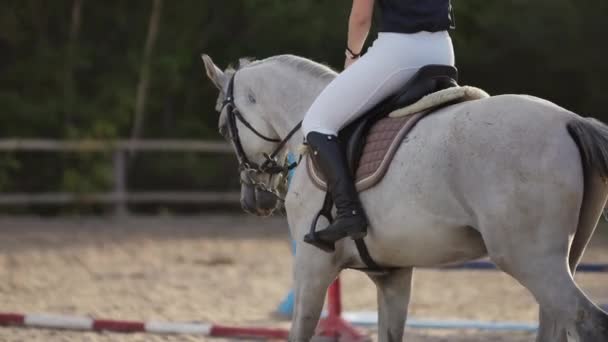 Vissza kilátás lovas egy lovat. Vissza véve a lovas egy ló lassú mozgás 120 fps — Stock videók