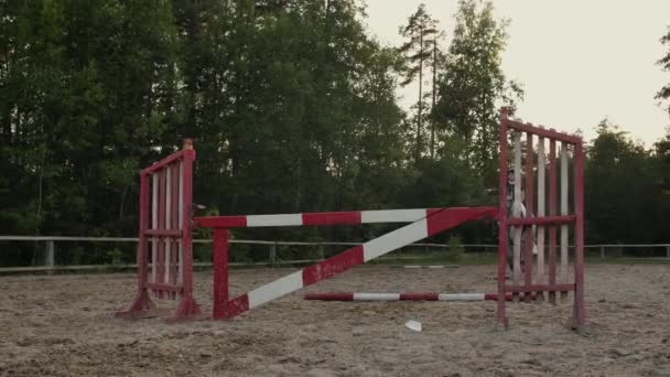 MOVIMIENTO Lento, CERRAR, ÁNGULO BAJO: Caballo montando fuerte caballo marrón saltando la valla en el sol al aire libre arena parkour dressage arena. Entrenamiento competitivo del jinete saltando sobre obstáculos en el asedio . — Vídeos de Stock