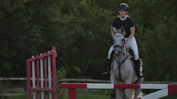 Unga kvinnliga ryttare på Bay Horse Jumping över hinder på Ridsport konkurrens. — Stockvideo