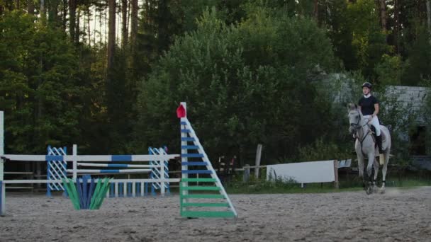 若い女性は、アリーナでのトレーニング中に障害物を乗り越えて馬をジャンプします。若い女性は、アリーナでのイベント中に障害物の上に馬をジャンプします。スポーツ。目的. — ストック動画