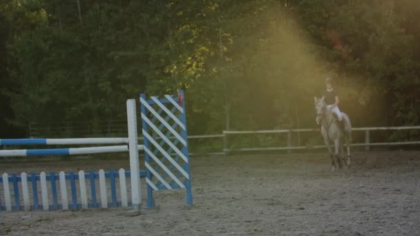 Μια νεαρή γυναίκα στο άλογο που πηδάει πάνω από εμπόδια. Αργή κίνηση. Εκπαιδεύεις άλογα πριν τον διαγωνισμό. Ιπποδρομίες. Εκτροφή αλόγων. Αγρόκτημα. Καβαλάρη. Αναβάτης, Ιππικός, αναβάτης. — Αρχείο Βίντεο