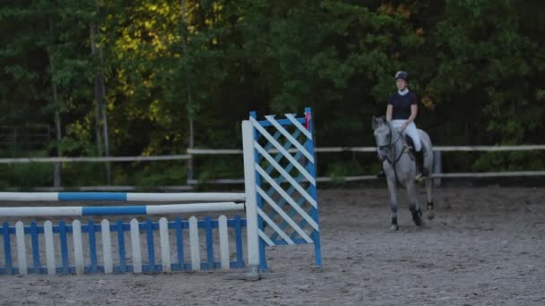若い女性は、アリーナでのトレーニング中に障害物を乗り越えて馬をジャンプします。若い女性は、アリーナでのイベント中に障害物の上に馬をジャンプします。スポーツ。目的. — ストック動画