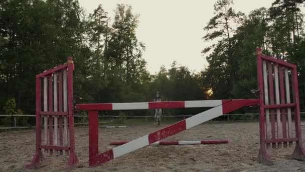 Slow Motion, zbliżenie: młoda horsegirl jazda konna silny brązowy koń skoki ogrodzenia w słonecznej na zewnątrz piaszczystej parkour jazda Arena. Konkurencyjne szkolenie jeźdźca skoki przez przeszkody o zachodzie słońca. — Wideo stockowe