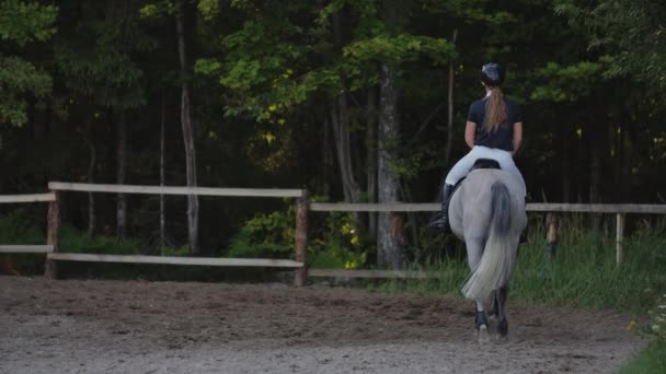 Visão traseira do cavaleiro em um cavalo. Visão traseira de um cavaleiro com um cavalo câmera lenta 120 fps — Vídeo de Stock