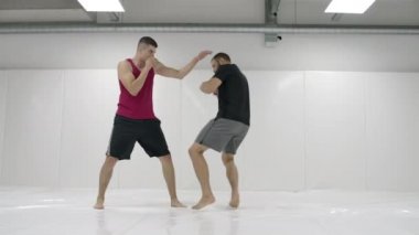 Erkek güreşçilerden sonra kamera hareket eder. Mma dövüşçüleri antrenman pistlerinde güreş ekipmanları üzerinde çalışırlar. Yakalama, atar ve acı hamle