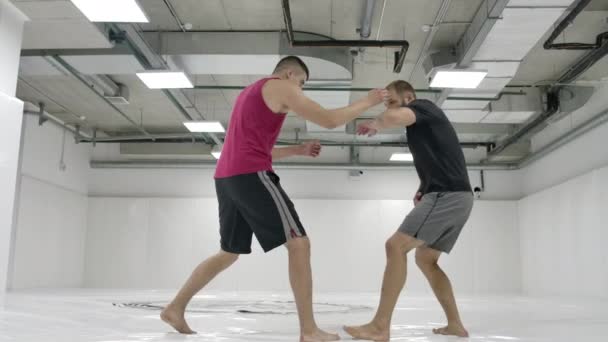 Luchadores greco-romanos en una habitación blanca con esteras. Practicando técnicas de autodefensa. Lanzamiento y dolor — Vídeos de Stock