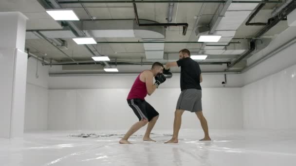 Kick boxer doet aanvallende klappen met zijn handen en voeten, en ontwijkt de klappen van de tegenstander. Training van shock Equipment. — Stockvideo