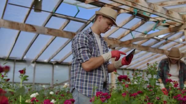 Zwei glückliche Bauern, die in einem Gewächshaus mit Blumen arbeiten und Tablet-Computer benutzen, um die Ernten für Käufer und Lieferanten von Blumen für Geschäfte, ein kleines Unternehmen und Kollegen zu überwachen und aufzuzeichnen — Stockvideo