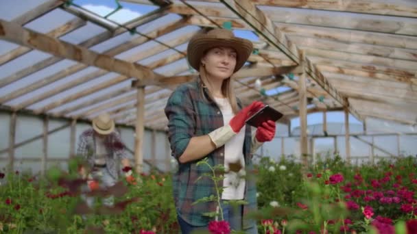 Két boldog gazdák dolgozik az üvegházhatást okozó virágok segítségével tabletta számítógépek ellenőrzésére és rögzítésére növények a vásárlók és a szállítók a virágok üzletek, egy kisvállalkozás, és kollégái dolgoznak — Stock videók