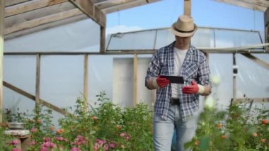 Genç girişimci sera evi sahibi sera sayma tesislerinde envanter yapıyor ve tablet bilgi girerek. Çekici adam yeşillik kontrol meşgul