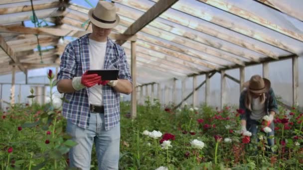 Δύο χαρούμενοι αγρότες που εργάζονται σε ένα θερμοκήπιο με λουλούδια χρησιμοποιώντας υπολογιστές tablet για να παρακολουθούν και να καταγράφουν καλλιέργειες για αγοραστές και προμηθευτές λουλουδιών σε καταστήματα, μια μικρή επιχείρηση και συναδέλφους που εργάζονται — Αρχείο Βίντεο
