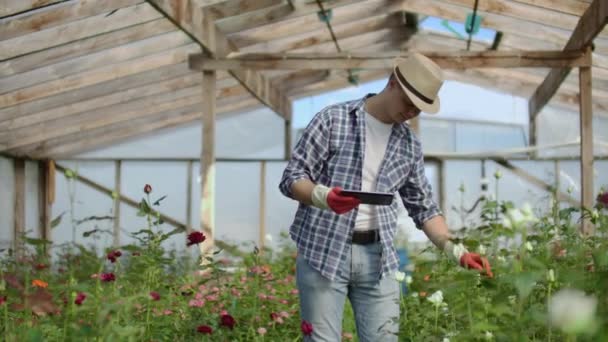 Joven empresario propietario de invernadero está haciendo inventario en las plantas de conteo de invernadero y la introducción de información en la tableta. El hombre atractivo está ocupado revisando la vegetación. — Vídeo de stock