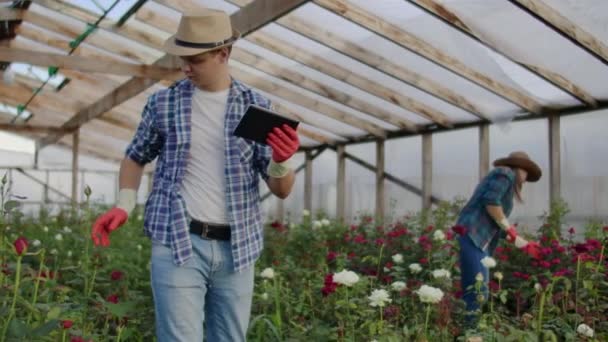 태블릿 컴퓨터를 사용하여 꽃이 있는 온실에서 일하는 두 명의 행복한 농부는 상점, 중소기업 및 일하는 동료에게 꽃의 구매자와 공급 업체에 대한 작물을 모니터링하고 기록합니다. — 비디오