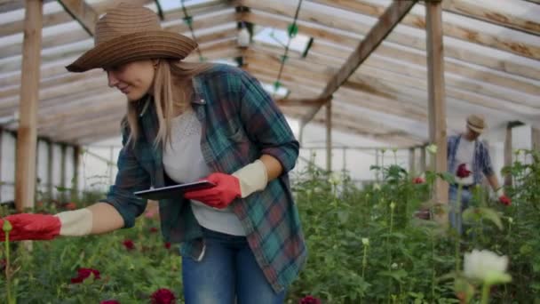 Twee gelukkige boeren die in een kas werken met bloemen die tablet computers gebruiken om gewassen te monitoren en op te nemen voor kopers en leveranciers van bloemen aan winkels, een klein bedrijf en collega's die werken — Stockvideo