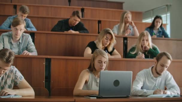 大批多民族学生在现代课堂上听讲座时, 在笔记本电脑上工作。明亮的年轻人在大学学习 — 图库视频影像