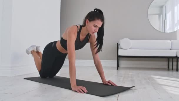 Joven morena sexy en ropa deportiva realiza flexiones de rodillas en casa sobre una alfombra . — Vídeo de stock