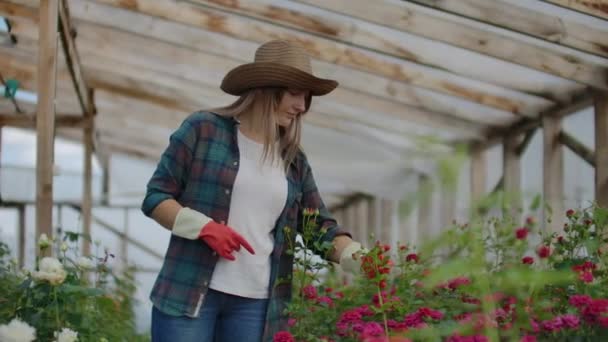 Gelukkige vrouw met bloemen in de kas. Mensen, tuinieren en beroep concept-gelukkige vrouw met bloemen in de kas. — Stockvideo