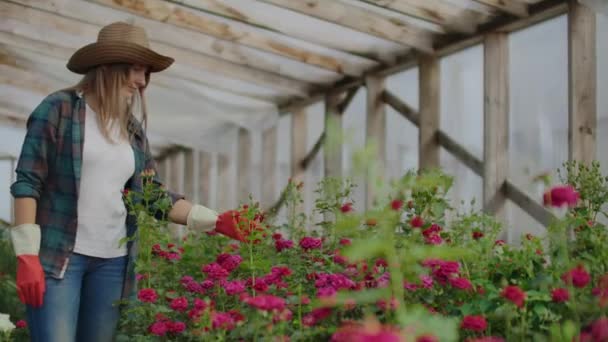Lycklig kvinna med blommor i växthuset. Människor, Trädgårdsskötsel och yrke Concept-lycklig kvinna med blommor i växthus. — Stockvideo