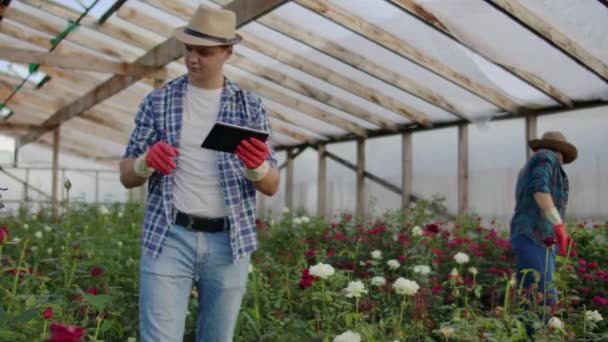 Pracovník s tabletem blízko růže ve skleníku. Dvě krásná mladá usmívající se dívka a muž, pracující s tabletem blízko růže ve skleníku. — Stock video
